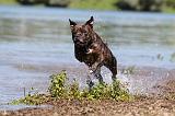 STAFFIE 168